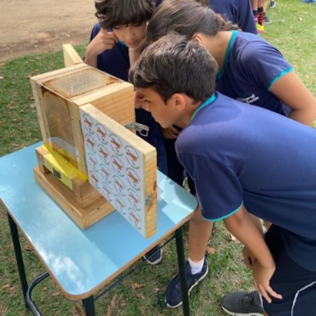 Abepoli nas Escolas